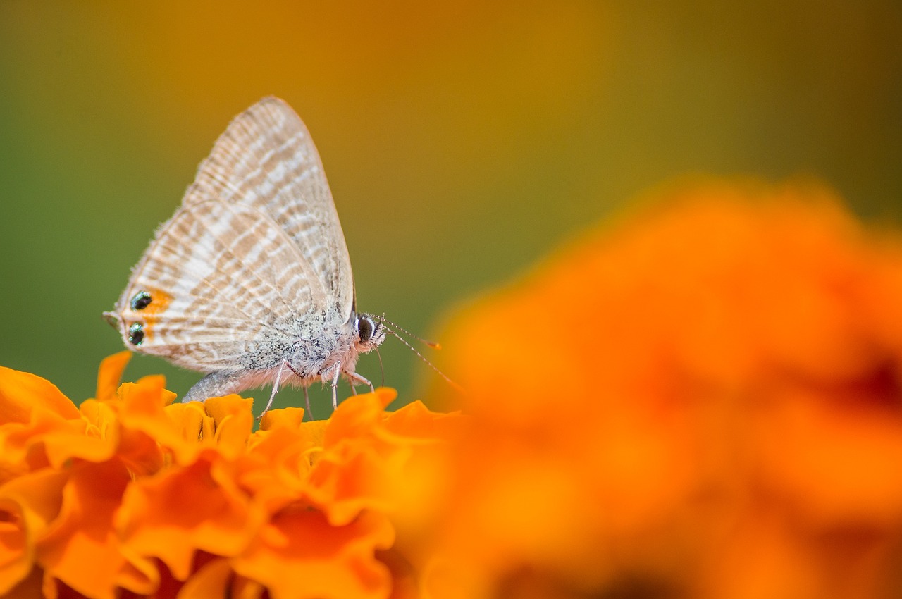 How to Inspire the Next Generation to Be Eco-Friendly